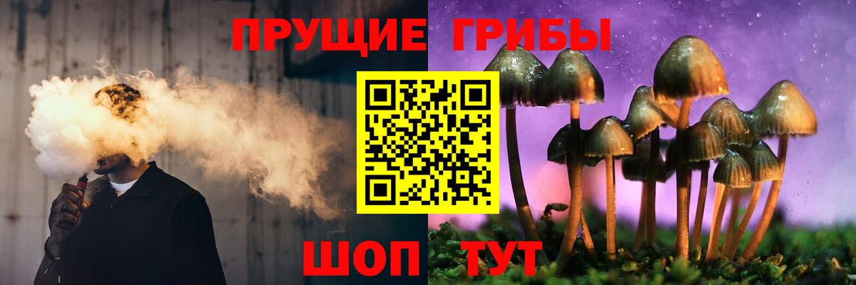 Галлюциногенные грибы мицелий  Псилоцибиновые грибы мицелий  Вход с VPN  Алексин 